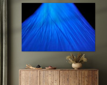 Glasvezel kabel verlichting in blauw van Sjoerd van der Wal