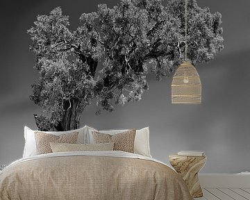 Pine Black and white by Denis Feiner