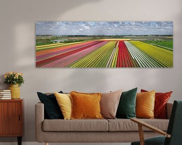 Tulpenvelden bij Krabbendam van Frans Lemmens