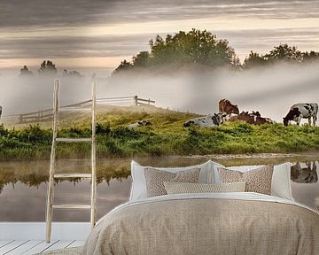 Cows in the Molenpolder near Tienhoven, the Netherlands. by Frans Lemmens