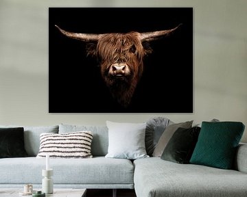 Highlander Cow by Mark Zanderink