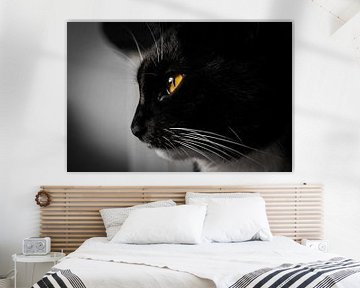 Portrait de chat en noir et blanc sur Paul Poot