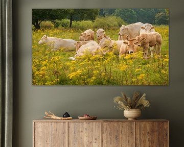 Gezinsfoto koeien tussen de gele bloemen van Michel Seelen