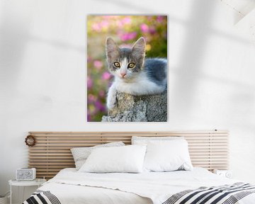 Schattig jong tweekleurig katte poesje van Katho Menden