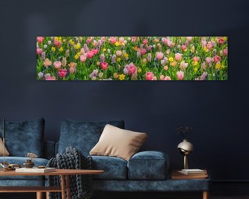 Panorama van bloemenpracht in de Keukenhof van Frans Lemmens