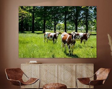 Kühe auf einer Wiese im Sommer von Sjoerd van der Wal Fotografie