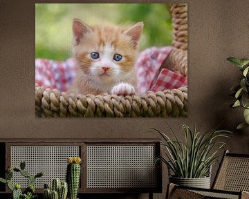 Baby Kitten in a Wicker Basket by Katho Menden