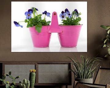 Blauwe viooltjes in roze pot van Ivonne Wierink