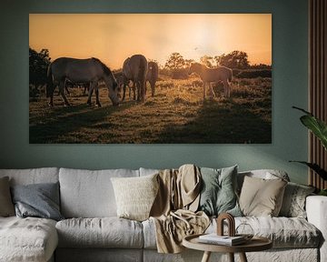 Paarden bij zonsondergang van Alvin Aarnoutse