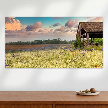 The hut in the fields