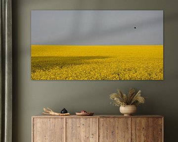 Geel veld met vogel van Lena Weisbek