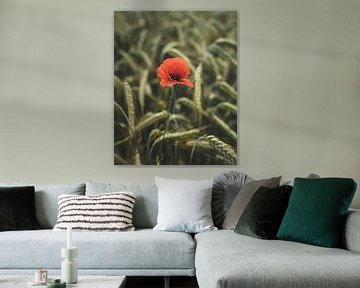 Mohn im Korn by Willi Schubert