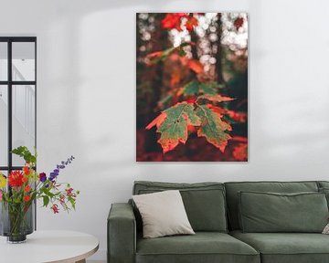 Herbstliches Blatt über die Veluwe von Mick van Hesteren