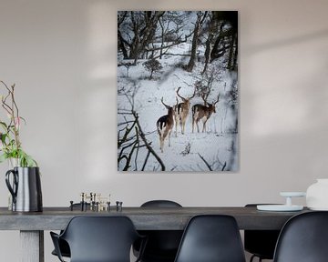 Trio of deer by Mattijs Diepraam