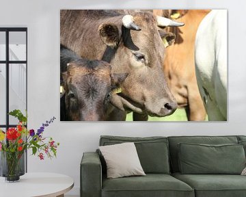 Dromerige koe met hoorns van Monique Meijer