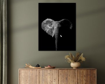 Elefant Schwarz-Weiß von Tanya Gorree