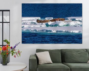 Ice floe with walruses by Merijn Loch