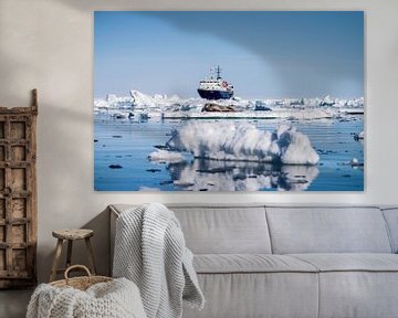 Rob (Seal) with an ice floe in the foreground and a ship in the background by Merijn Loch