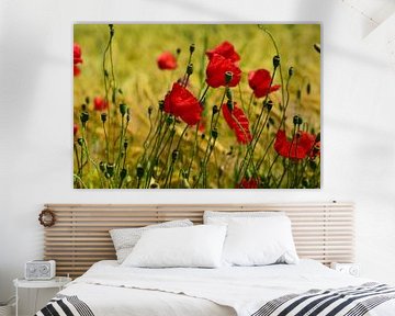 roter Mohn im Kornfeld von Ulrike Leone