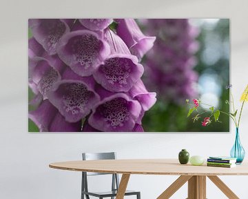 Roze bloemen in de Moringerwaarden von Barry van Rijswijk