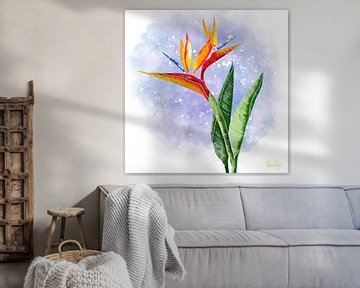 Blumenmotiv - Strelitzia Paradiesvogelblume von Patricia Piotrak