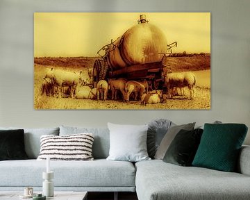 Éviter le soleil sur Kevin Verboven