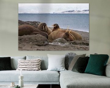 Slagtanden van de Walrussen van Merijn Loch