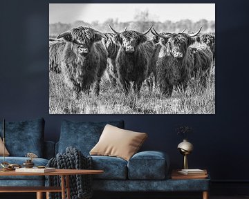 Scottish Highlanders