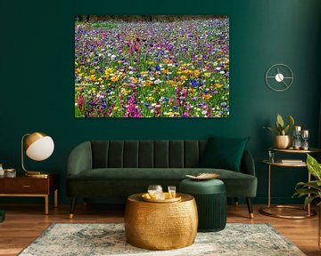 Een vrolijk stemmend bloemenveld van Hannie Kassenaar