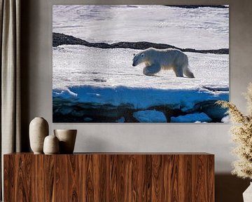L'ours polaire errant dans la neige et la glace du Spitzberg sur Merijn Loch