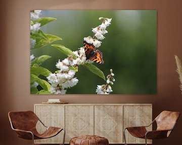 Vlinder van Debby Frijn