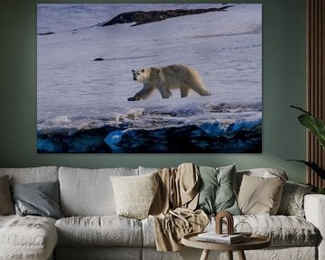 Polar bear hunting by Merijn Loch