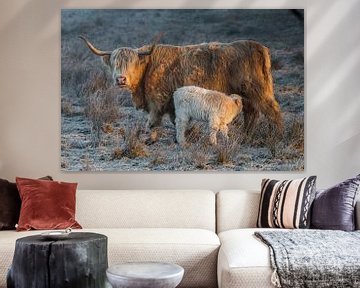 Schotse Hooglander koe met kalf van Andre Brasse Photography