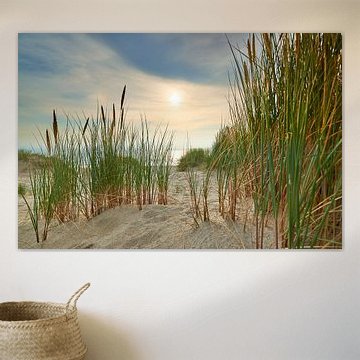 Duin aan het Noordzeestrand bij zonsondergang