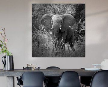 Elefant von Frans Lemmens