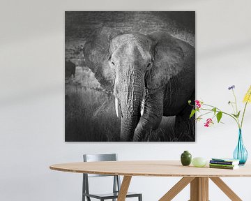 Elephant by Frans Lemmens