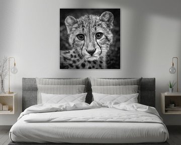 Porträt eines jungen Geparden