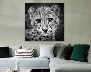 Porträt eines jungen Geparden von Frans Lemmens