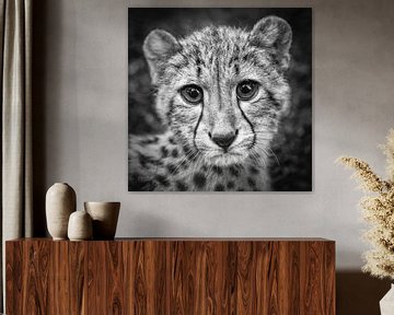 Porträt eines jungen Geparden von Frans Lemmens