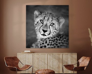 Portret van Cheetah van Frans Lemmens