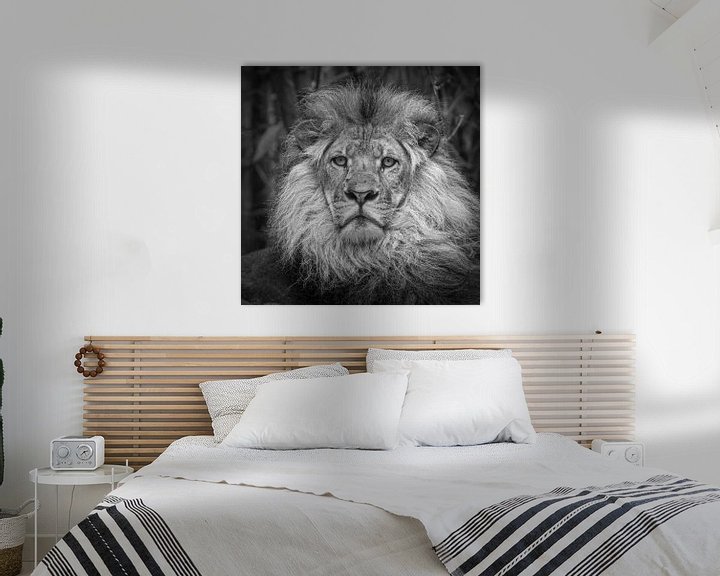 Beispiel: Löwe (Panthera Löwe) von Frans Lemmens