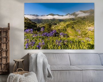 Jewelry lilies near Sao Vicente in Madeira by Werner Dieterich