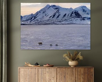 Polar bear with 2 cubs on the beautiful Spitsbergen by Merijn Loch