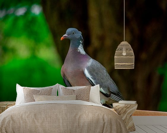 Raumvorschau