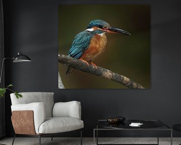 Kingfisher with fish by Marjolein van Middelkoop