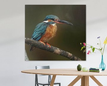 Kingfisher with fish by Marjolein van Middelkoop