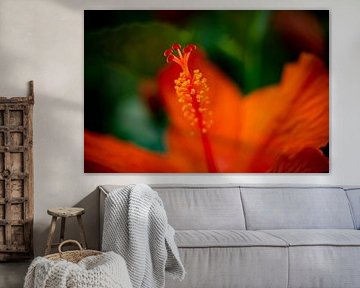 beautiful colors of nature