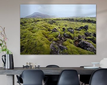 Moss landscape Iceland by René Schotanus