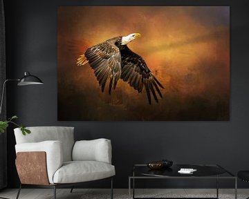 American bald eagle in flight by Diana van Tankeren