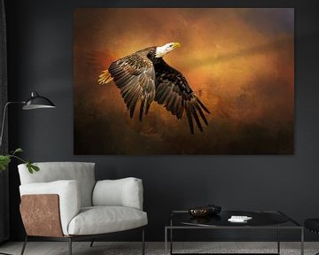 Fliegender Seeadler (American white taille) von Diana van Tankeren